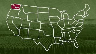Visit Hop Country in the Yakima Valley - Short