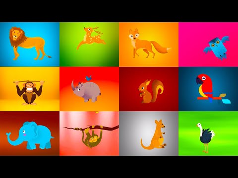 POGODI ZIVOTINJU 🦒 Životinje i Za Djecu 🐘 Pepi TV Crtani Za Decu 🦒 Edukativni Programi
