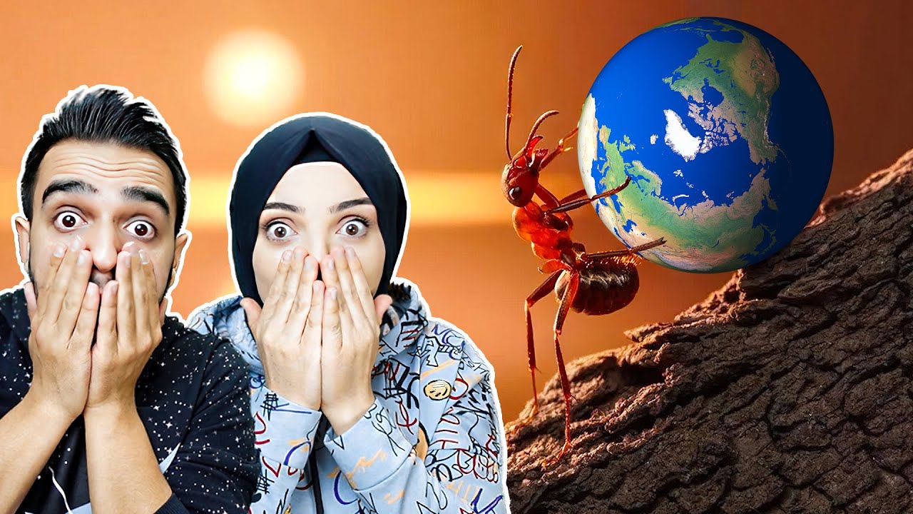 DÜNYAYI İTEBİLEN KARINCA OYUNU  !! 😱 Push Merge