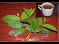 Guava leaves tea relieved my acid reflux problem