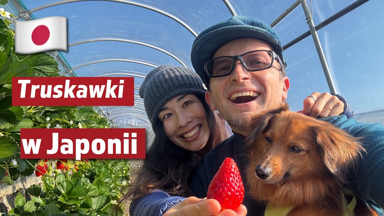 Kiedy AIKO WRÓCI? Kiedy lecieć do JAPONII? Q&A Noworoczne 2026