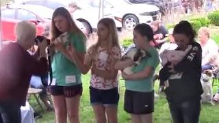 Red Bud Festival 2019 Pet Show in Honaker VA