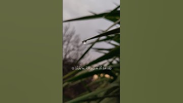 "سورة الحجر " بصوت القارئ إسلام صبحي 🌹❤️‍🩹💔 #اسلام_صبحي #قرآن #اكسبلور #لايك #راحة_نفسية