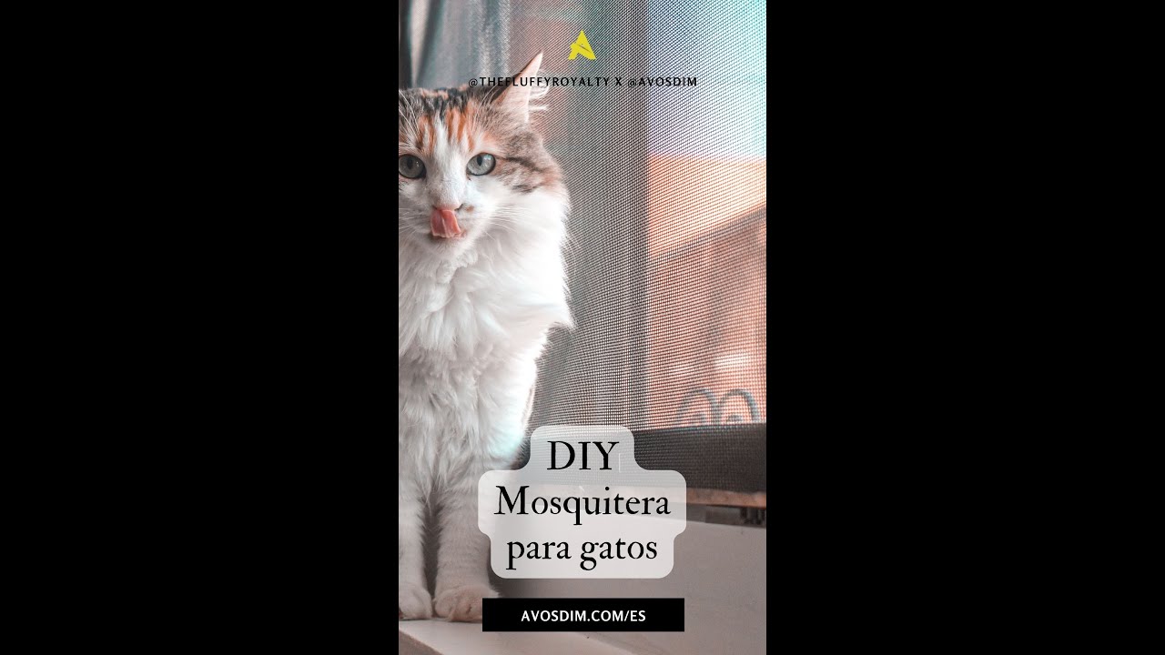 🇪🇸 Mosquiteras a medida – ¿Cómo hacer una mosquitera para gatos? 