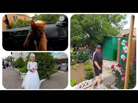 переезд на Юг из Сибири/у нас выпускной/заказали вещи в Тики Текс/взяли рыжего кота