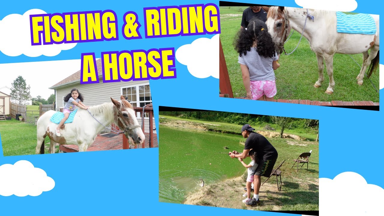 Fish Being Ridden caughting my first fish/ riding a horse - YouTube