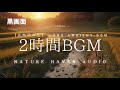 Japanese Countryside Ambience at Sunset (2 Hours) | Rice Fields & Gentle Stream 【Black Scleen】