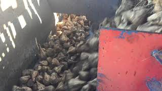 Cimpro - Şeker Pancarı Temizleme Ünitesi-Çamur Sıyırıcı