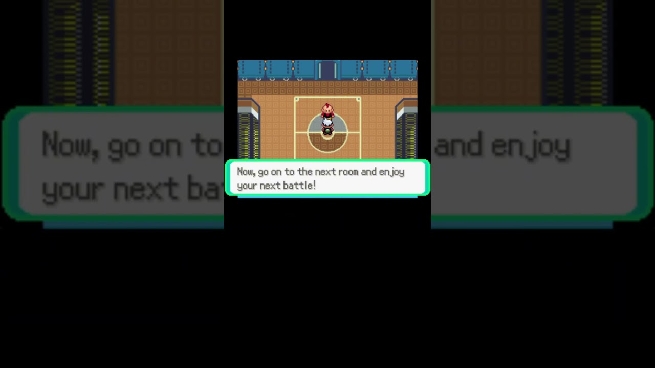 6 Level 100 Rattatas vs the Elite Four - do they take the win?