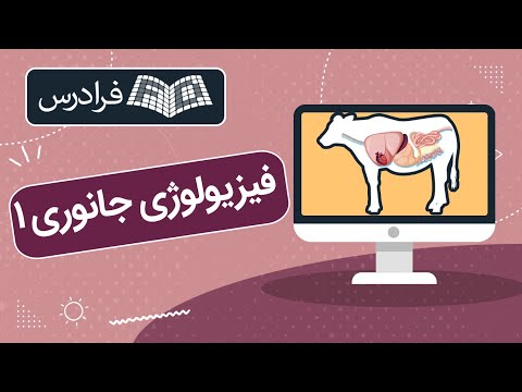 تصویری: در طول خودتنظیمی کلیه، گلومرول بازخوردی را دریافت می کند؟