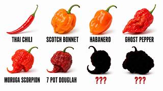 Every Hottest Chili Pepper Explained in 18 Minutes