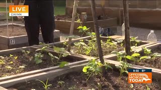 Upper Michigan Today - U.P. Gardening