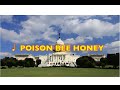 POISON BEE HONEY【仮Mixバージョン】