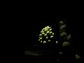 new fresh blender animation eevee 4