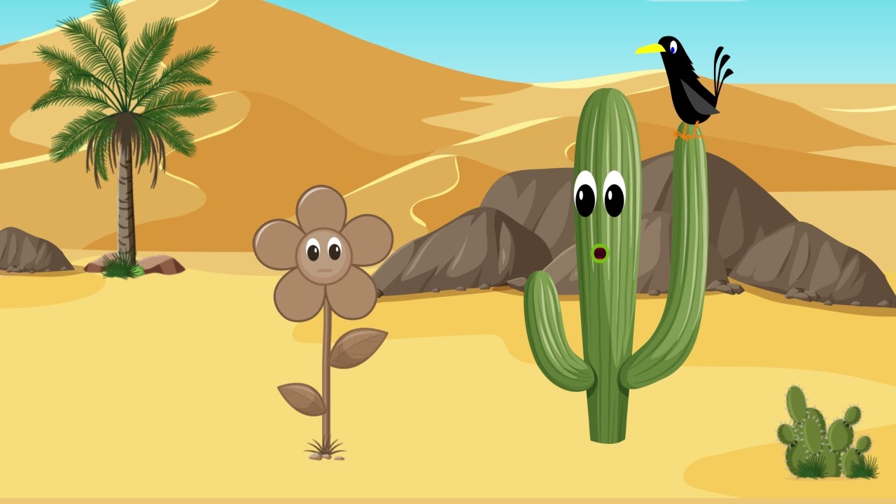 قصة الوردة المغرورة