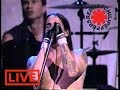 Red Hot Chili Peppers- Aeroplane Live HQ