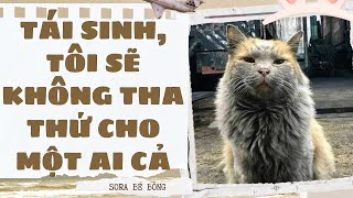 [Truyện Audio ] [FULL] TÁI SINH, TÔI SẼ KHÔNG THA THỨ CHO MỘT AI CẢ || Sora Bé Bỏng