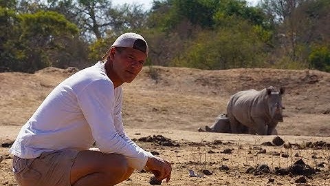 [テレビ予告] ワイルド フランク｜アニマルプラネット