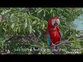 Calvin Harris feels WhatsApp status $D®e+edits Whatsapp Status Video Download Free