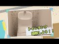 トイレ掃除。見逃しがちな汚れ【タンクにカビ！？】止水栓の止め方