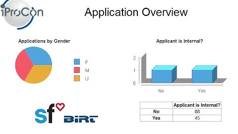 Reporting with BIRT Templates in SuccessFactors