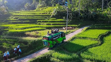 Angkutan Di Desa, Bikin Rindu Tapi Bikin Tegang || Purwajaya, Cihurip, Cikajang, Garut, Bandung