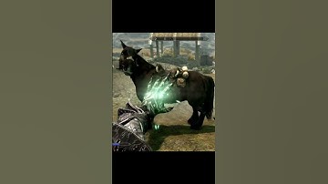 Verhoog het niveau van Illusion snel in Skyrim! Beheers de magie van 1-100! ✨