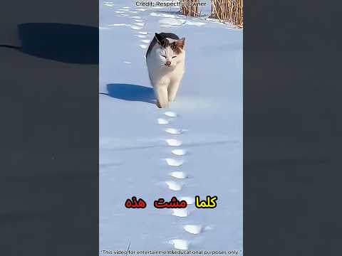 علامتان فقط تظهران على الأرض سرها مذهل 