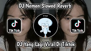 DJ NENEN AKU RA MASALAH - SLOWED   REVERB REMIX VIRAL TIKTOK TERBARU 2023