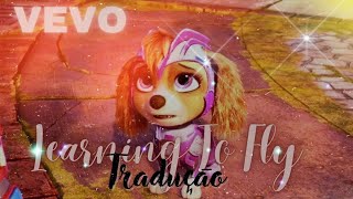 Learning To Fly || Tradução Português BR 🇧🇷 || Christiana Aguilera