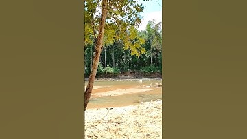 Thumbnail of beautiful riverside #music #coversong #cover