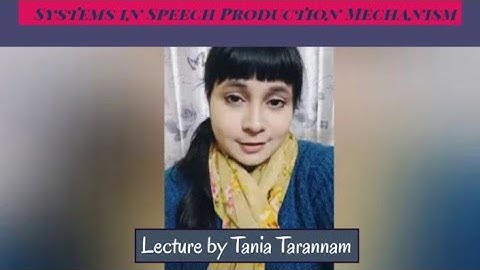 Systems in Speech Production Mechanism