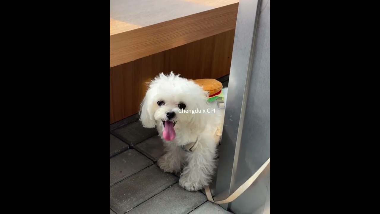 Luxelakes CPI - ChengDu