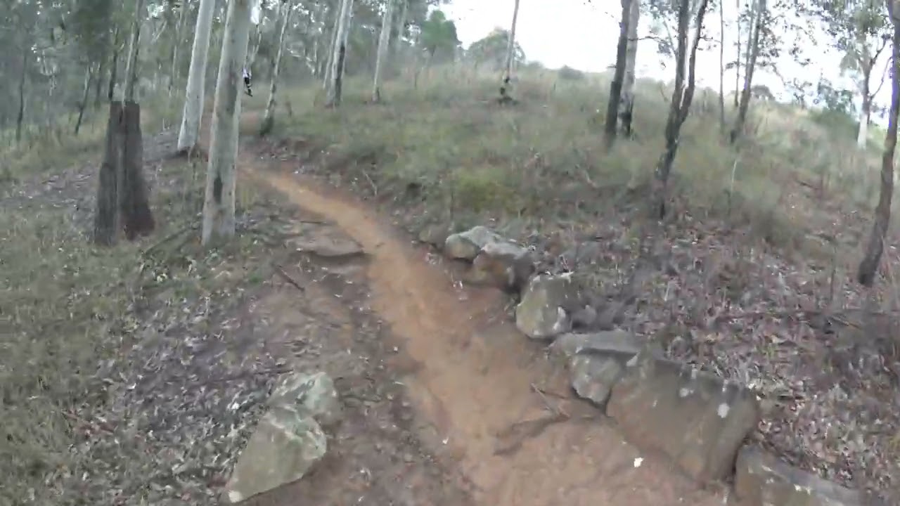 mountain bike @Wylde trail