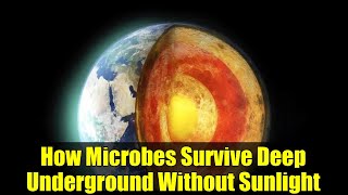 How Microbes Survive Deep Underground Without Sunlight | Secrets of Subterranean Life