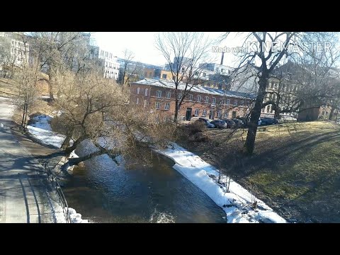 مساؤكم سكر على نغمات انا قلبي ليك ميال فايزة احمد