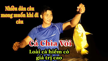Lần đầu tiên câu được cá Chìa Vôi 1kg1/Sự Cần Giờ #54