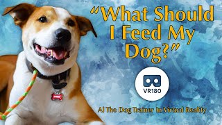 What To Feed Your Dog   In Virtual Reality!