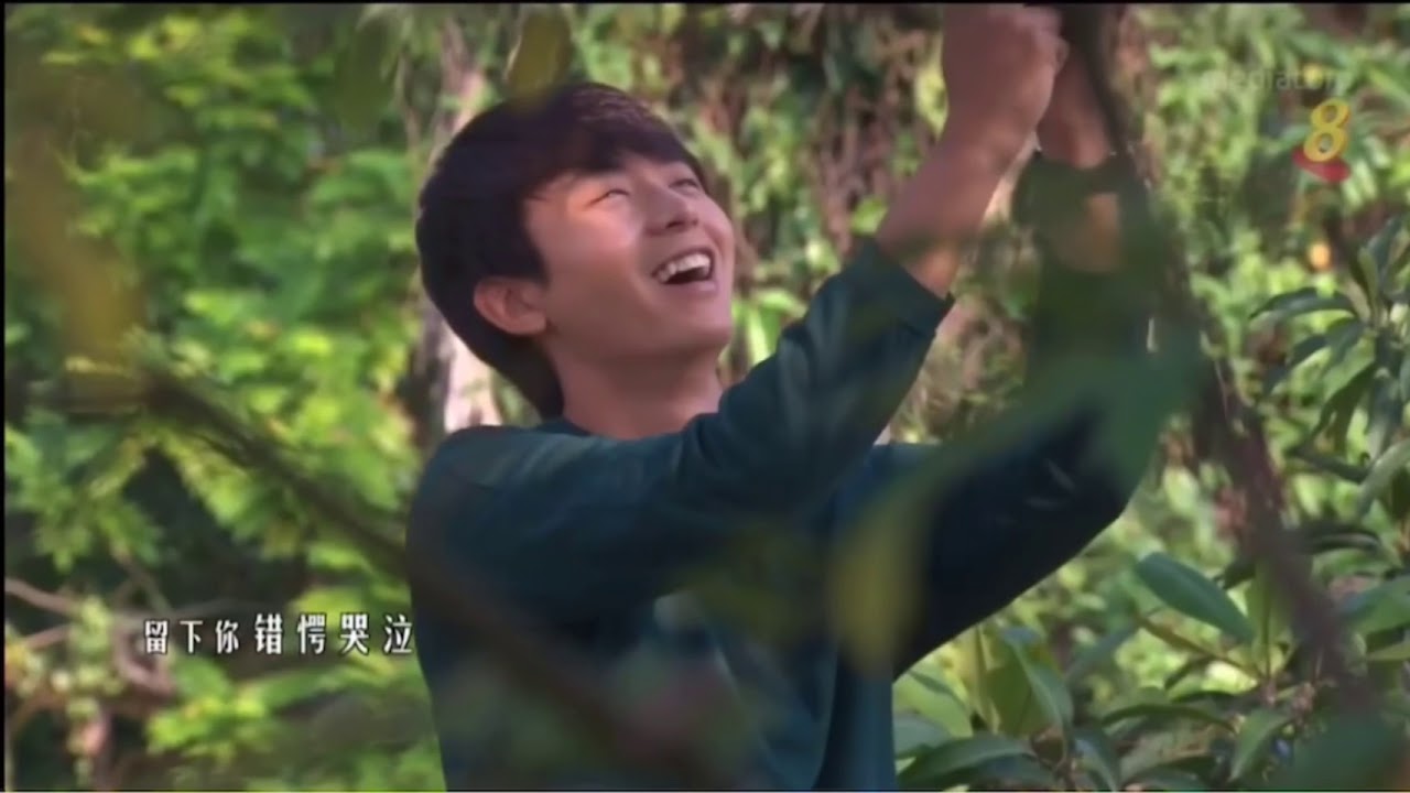 哭惨了这段😢 天使 谢谢你来过 Aloysius Pang冯伟衷 #rememberingaloysiuspang