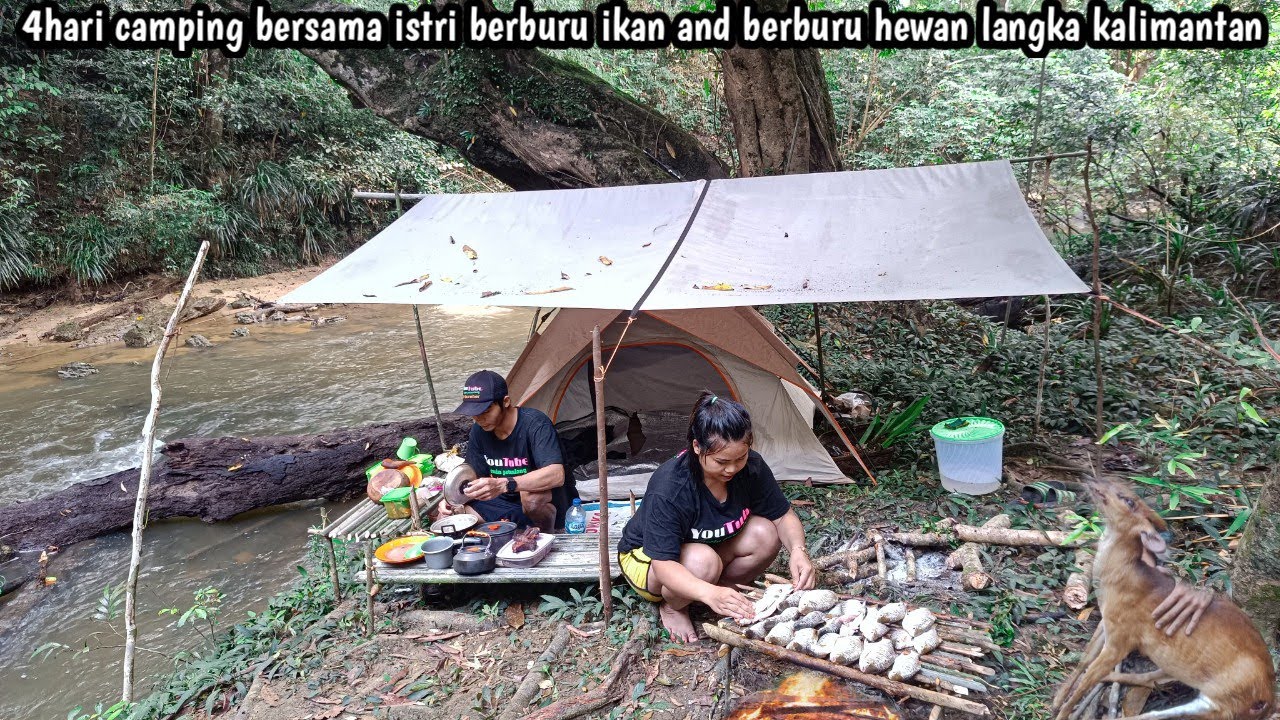 4hari camping bersama istri berburu ikan and hewan langka kalimantan