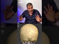 الجمجمة الصندوق الاسود