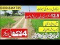 12.5 Acres Agriculture Land for Sale in Punjab Pakistan | Affordable Farming Land
