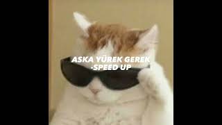 MUSTAFA SANDAL-ASKA YUREK GEREK (speed up)