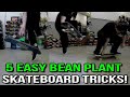 5 Easy Bean Plant Skateboard Tricks!