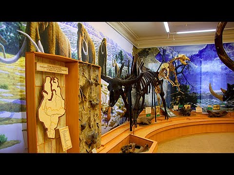 Музейная сфера в регионе изменилась качественно