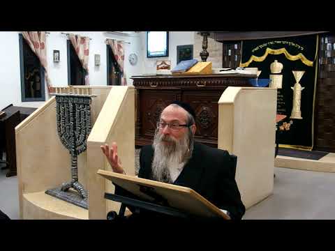 הרב גודלבסקי- אהיה אשר אהיה התחדשות הלכה למעשה-01.02.2017-HD