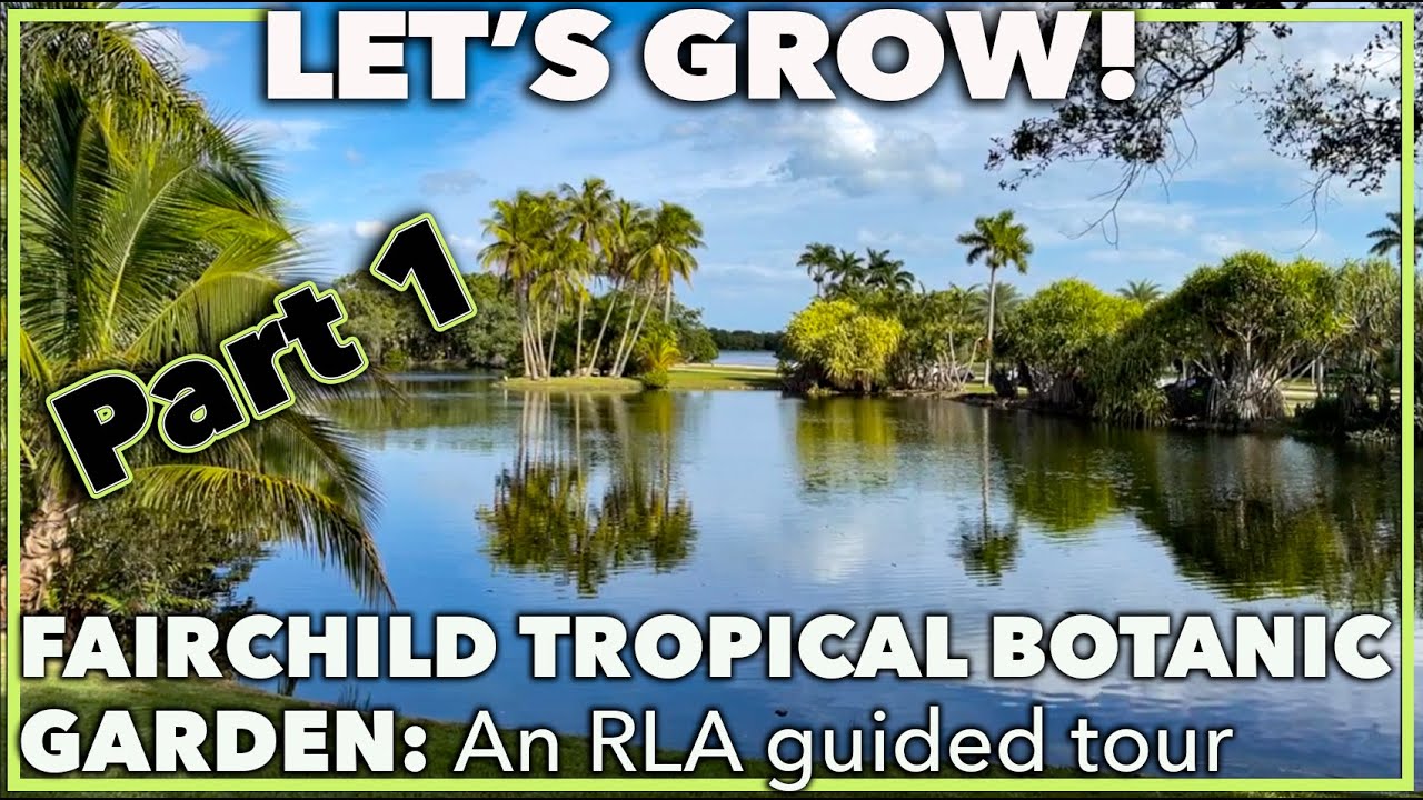 FAIRCHILD TROPICAL BOTANIC GARDEN Landscape Architect guided tour
