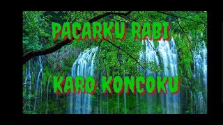 PACARKU RABI KARO KONCOKU (video lirik)