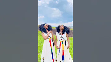 Tigray Music Tigirignamusic Tigray Ethiopia Eritrea 2023 Shorts 