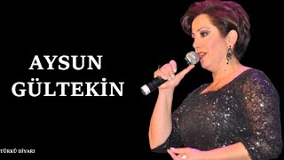 Aysun Gültekin - Aşan Bilir Karlı Dağın Ardını Resimi